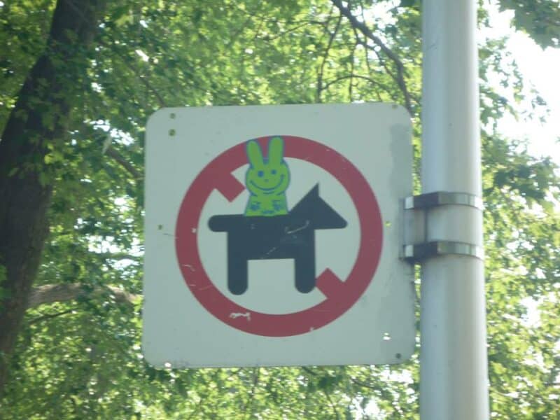 Kikor à Montréal