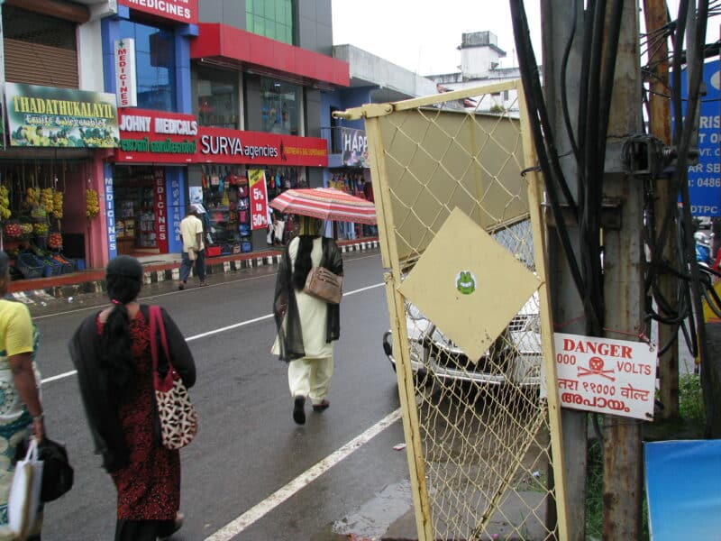 Kikor dans le sud de l'Inde