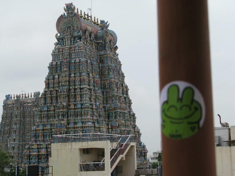 Kikor dans le sud de l'Inde