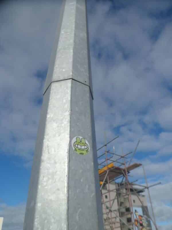 Kikor en Nouvelle Zélande / photo : Colin Lemmy