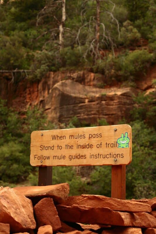 Kikor au Colorado - Grand Canyon - North Rim