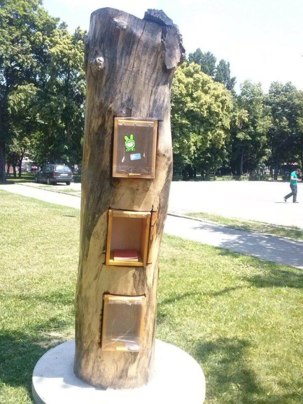 Kikor en Roumanie - Oradea